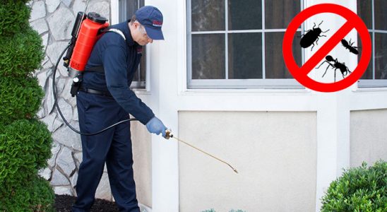 Akkışla Gümüşkurt İlaçlama böcek ilaçlama ve haşere kontrolü — ilaclama-tr.com